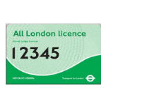 Green licence image 2