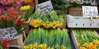Flowers at a market