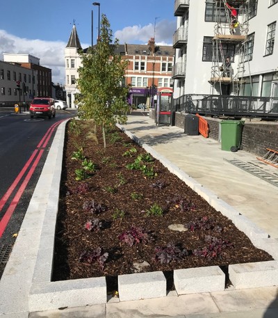 SuDS project in Elspeth Road - water enters rain garden through slots in kerb from pavement and road